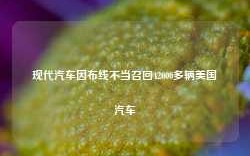 现代汽车因布线不当召回42000多辆美国汽车