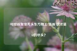 可控核聚变龙头东方精工7连板 这才是AI的尽头？