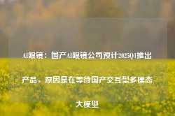 AI眼镜：国产AI眼镜公司预计2025Q1推出产品，原因是在等待国产交互型多模态大模型