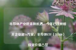 半导体产业迎来新机遇，今年已注册相关企业超16万家，半导体ETF（512480）投资价值凸显