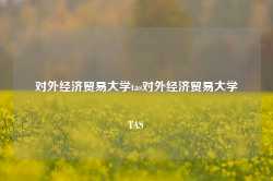 对外经济贸易大学tas对外经济贸易大学TAS