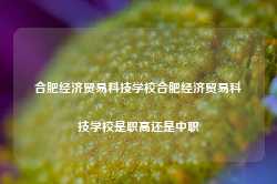 合肥经济贸易科技学校合肥经济贸易科技学校是职高还是中职