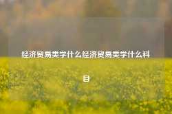 经济贸易类学什么经济贸易类学什么科目