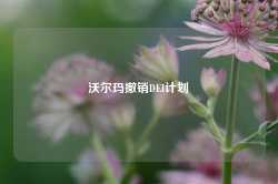 沃尔玛撤销DEI计划