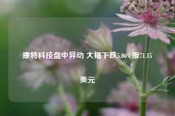 康特科技盘中异动 大幅下跌5.06%报71.15美元