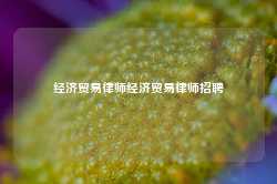 经济贸易律师经济贸易律师招聘