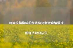 新冠疫情造成的经济贸易新冠疫情造成的经济贸易损失