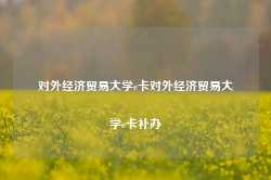 对外经济贸易大学e卡对外经济贸易大学e卡补办