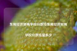 东莞经济贸易学校分数线东莞经济贸易学校分数线是多少