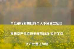 中信银行密集挂牌个人不良贷款项目 零售资产风险仍处释放阶段 银行不良资产处置正加速-第1张图片-润美贸易