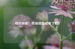 双针探底！市场调整结束了吗？-第1张图片-润美贸易