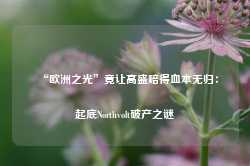 “欧洲之光”竟让高盛赔得血本无归：起底Northvolt破产之谜