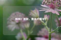 刚刚！港股，集体大爆发！-第1张图片-润美贸易