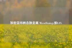 加密货币概念股走高 MicroStrategy涨8.4%-第1张图片-润美贸易