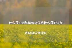 什么是沿边经济贸易优势什么是沿边经济贸易优势地区