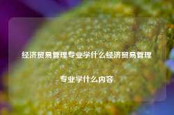 经济贸易管理专业学什么经济贸易管理专业学什么内容