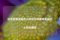 经济贸易金融怎么创业经济贸易金融怎么创业赚钱