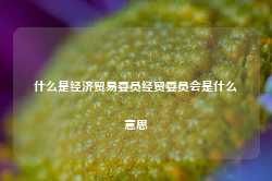 什么是经济贸易委员经贸委员会是什么意思