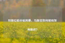 特斯拉陷补贴风暴，马斯克如何破局加州新政？-第1张图片-润美贸易