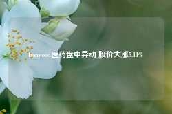 Ironwood医药盘中异动 股价大涨5.11%-第1张图片-润美贸易