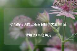 小马智行美国上市首日股价大涨19% 总计筹资4.134亿美元-第1张图片-润美贸易