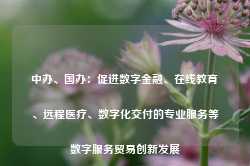 中办、国办：促进数字金融、在线教育、远程医疗、数字化交付的专业服务等数字服务贸易创新发展-第1张图片-润美贸易