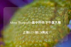 Aileron Therapeutics盘中异动 下午盘大幅上涨5.27%报2.70美元-第1张图片-润美贸易