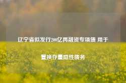 辽宁省拟发行200亿再融资专项债 用于置换存量隐性债务-第1张图片-润美贸易